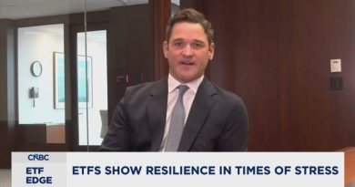 Violent downturns could test new ETF strategies, warns MFS Investment